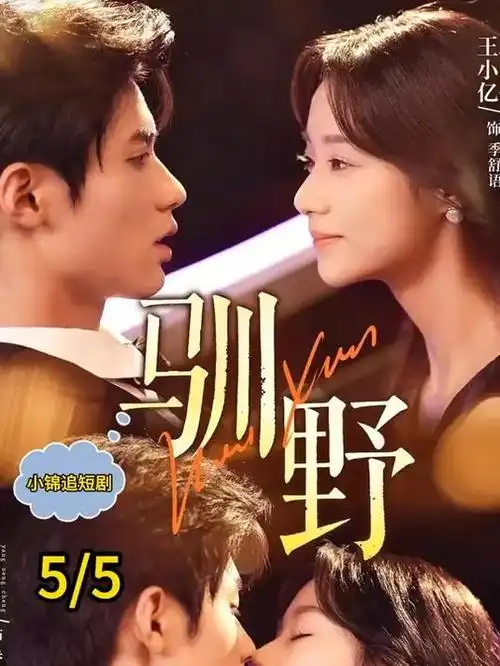南来北往 海报